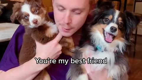We don’t deserve dogs