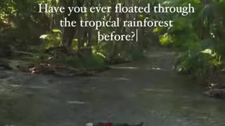 Float in the rainforest