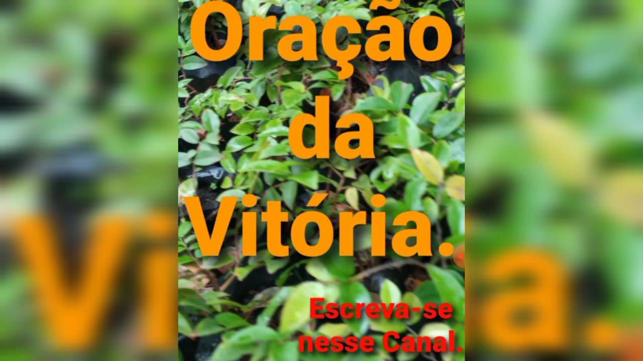 Oração da Vitória🙌🏻. Bênçãos de Deus.