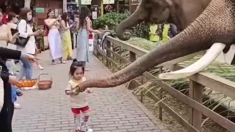 Cute baby in zoo