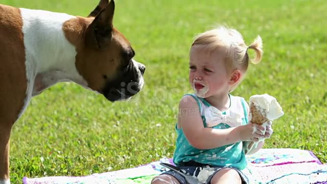 Chien Boxer, petite fille et Cornet de glace