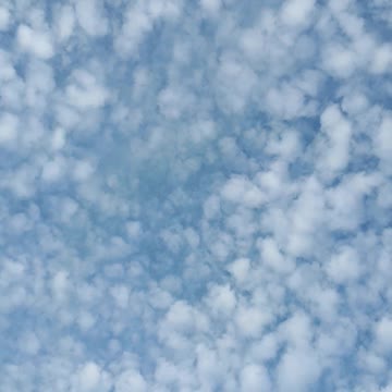 Himmel in Berlin am 8.11.2022 um 14:50 Uhr