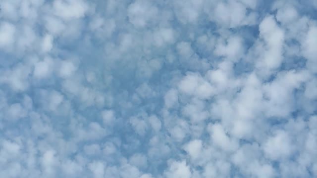 Himmel in Berlin am 8.11.2022 um 14:50 Uhr