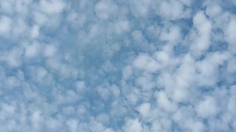 Himmel in Berlin am 8.11.2022 um 14:50 Uhr