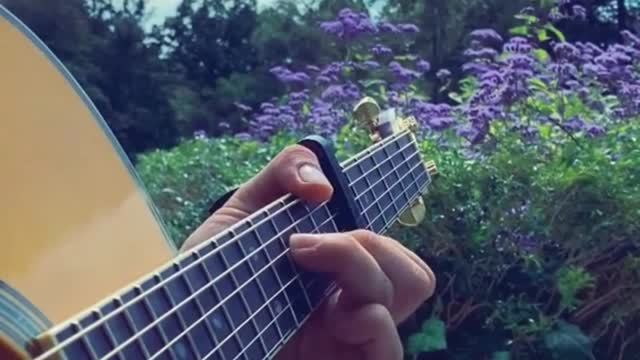 🔴 Relaxing Music Guitar Acoustic Solo