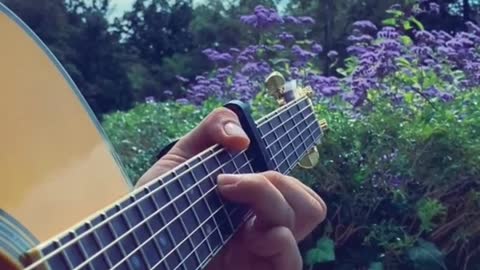 🔴 Relaxing Music Guitar Acoustic Solo