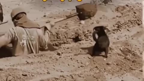 Funny video