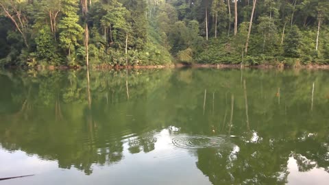 Fishing major carp