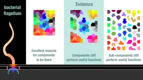 Rebuttals: irreducible complexity [ MIRROR ]