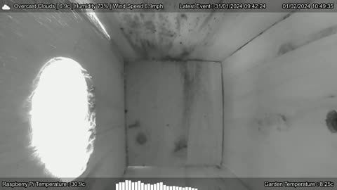 Stream from inside my birdbox, hopefully we'll see a bird today