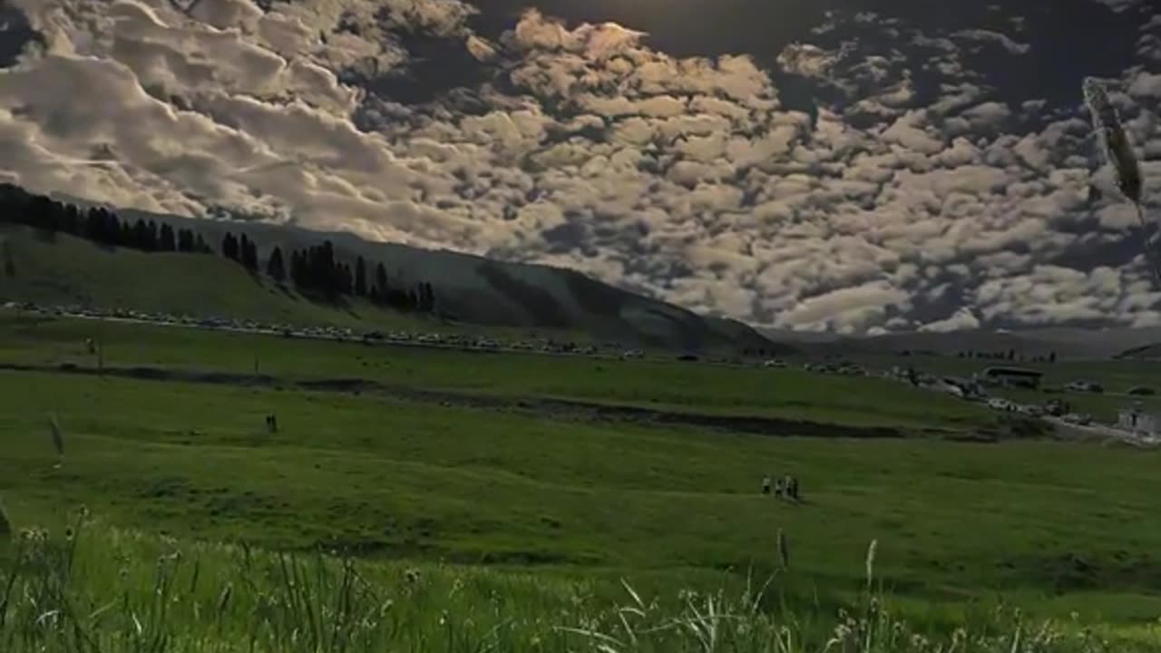Nature