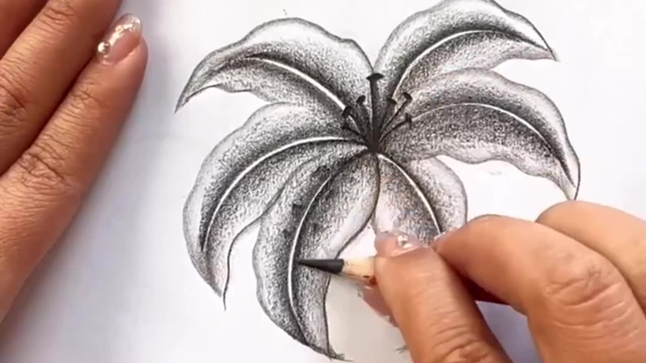 Drawing lessons | Artist | Creative- For beginners