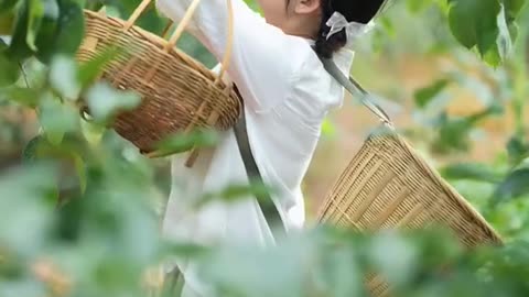 How to make America great again and I can help ☺️