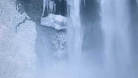 Majestic walks in iceland. Natural is beauty. #viral #animal