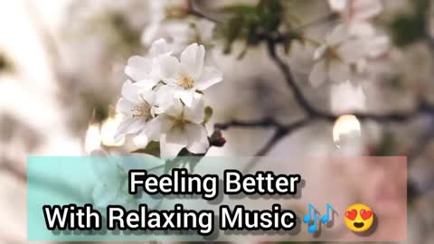 Relaxing Music | Sleeping, Meditation, Stress Relief | [5192] ⭐️