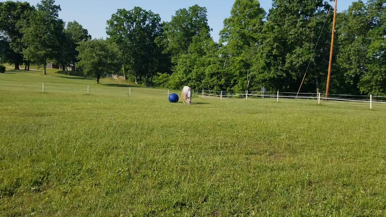 Blue Ball Magic 101.6