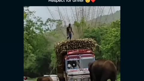 Driver helping a mother