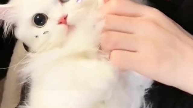 I’m holding you in my arms,sweetie 🥰🥰🥰