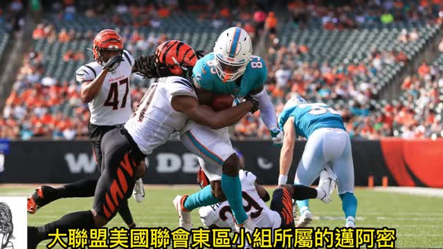 運動天地-場邊人語 猛虎使壞-海豚首敗