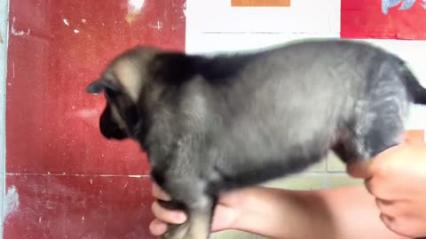 Here I am holding on