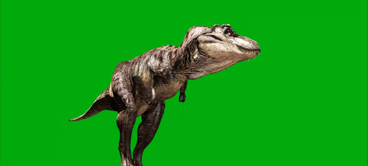 Big dinosaur green screen effect