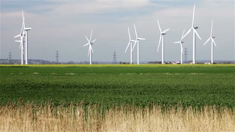 What are Biofuels and Where are They Going