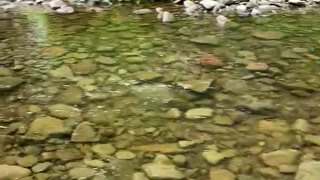 GENTLE STREAM PEACE