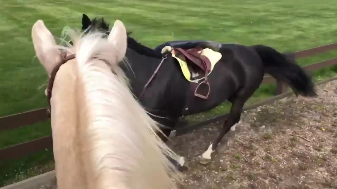 This Girl Had A Bad Horse Riding Experience