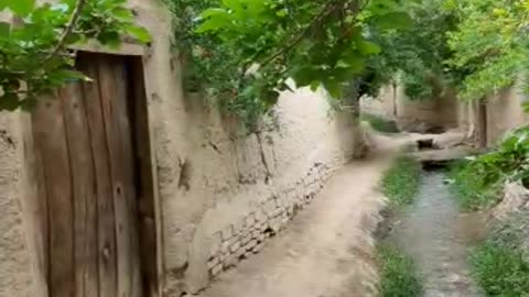 Relaxed #beautifulnature #northenareas #pakistan #narankaghan