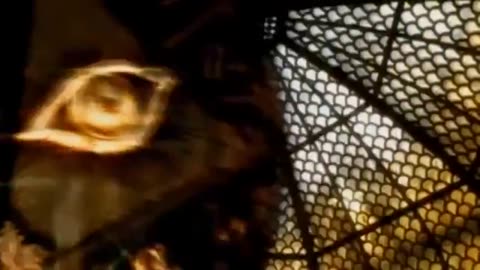 Mind Control & Secret Society