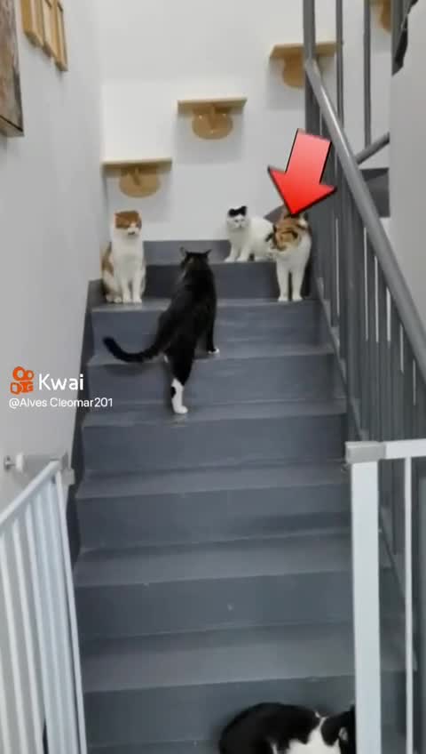 me sneaking out so I don't get caught