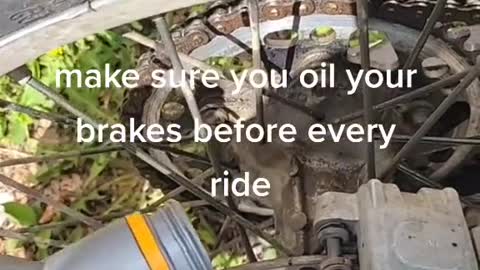 Make sure to oil the brakes before each ride.