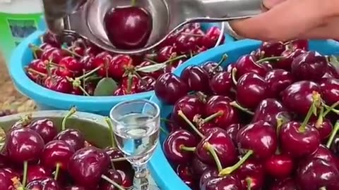 Exploring the Sweet World of Cherries."