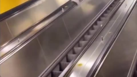 Well, that escalated quickly