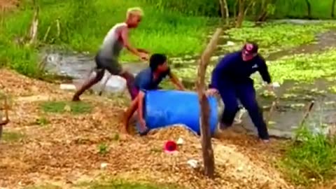 Funny videos