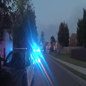 Cops call for back up fast for Bradley, a whole lot of backup!