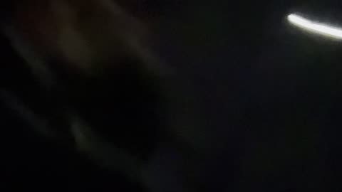 Fat Tuesday. Mount up.