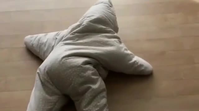 A lovely starfish