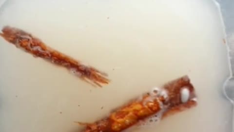 Cómo prepara horchata deliciosa