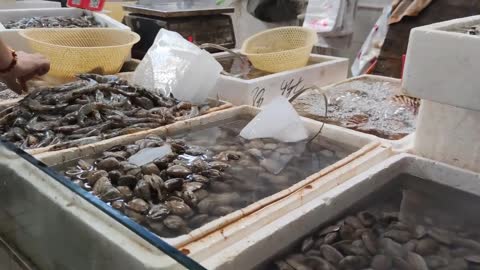 A closer look at the seafood market