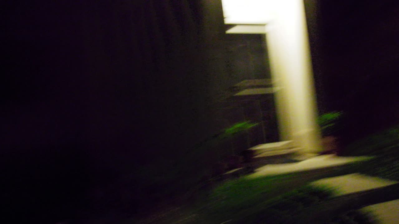P8300089