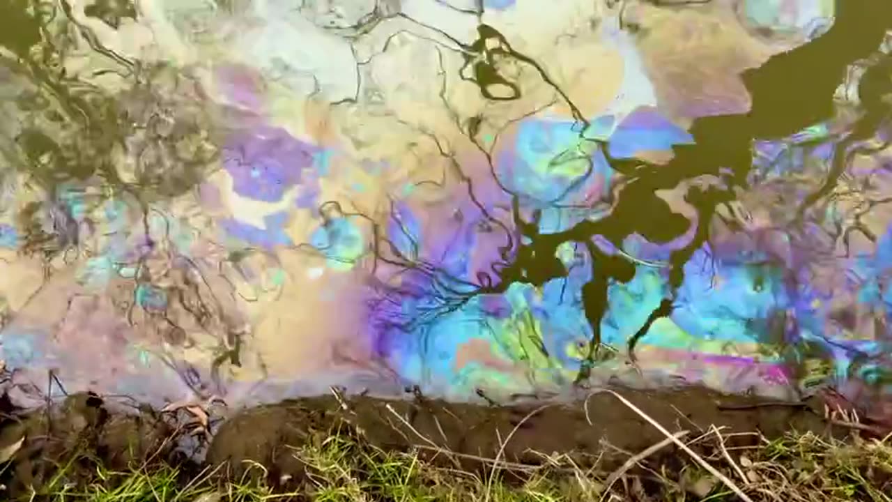 This creek In East Palestine, Ohio Is Insanely Contaminated