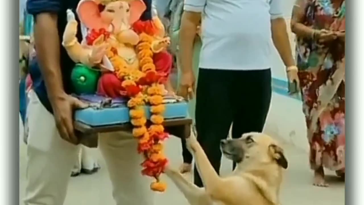 Ganapati bappa morya ❤️