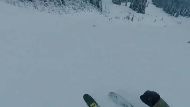 Happy skier, happy floofer 🐺🏔❄️