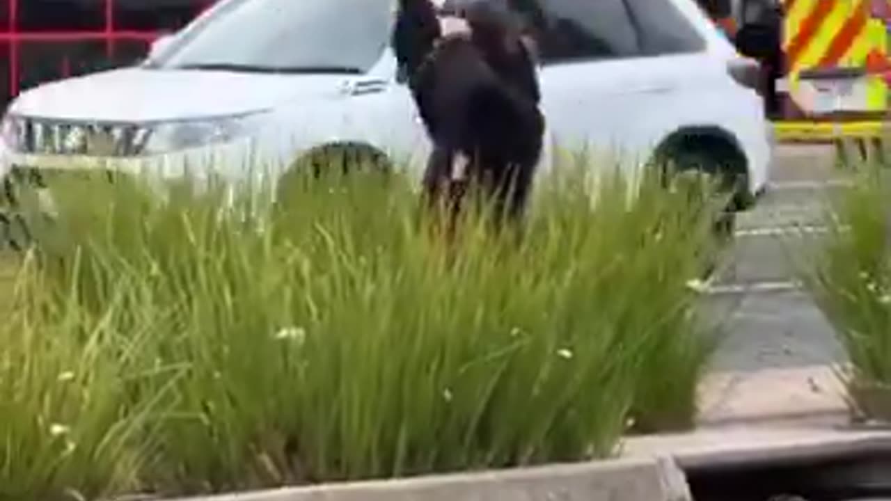 HUBBLE BUBBLE your in Trubble Evil Doers - Video Game promoting & normalising Witchcraft - Reloaded