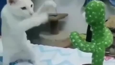 Funny clip of animals 😛😛😜