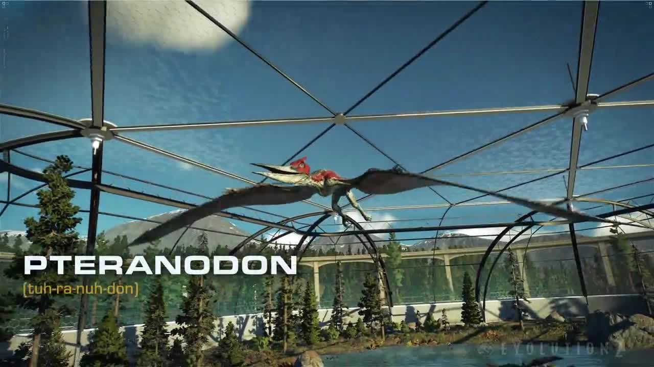 Field Guide Pteranodon