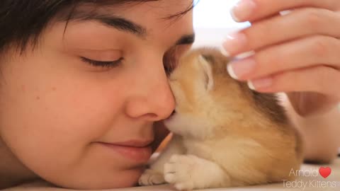 I get a little kitten kiss. Unwind | ASMR | Cute