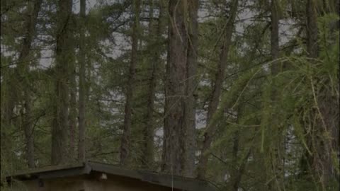 Best Hunting Destinations in the World