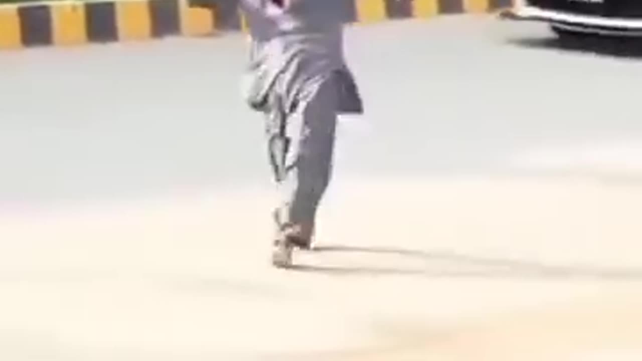 Cricket lover